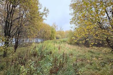 Участок, Подмосковные вечера к/п (Рогозинино), 18.4 сот