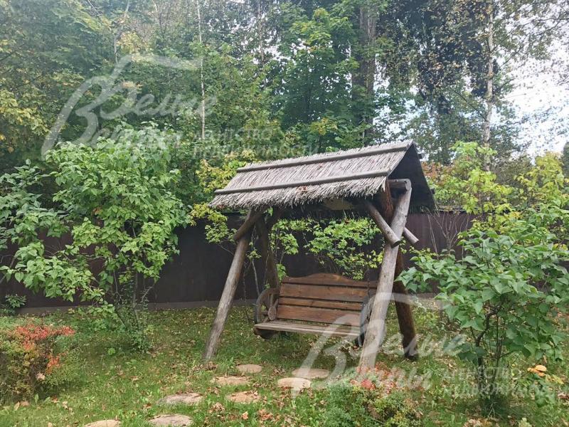 На участке растет множество взрослых деревьев