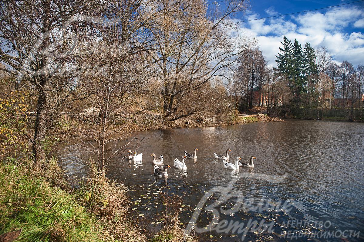 Рядом живописное озеро 