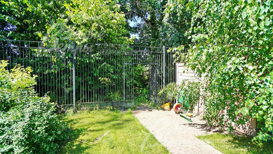 Свой выход в лес