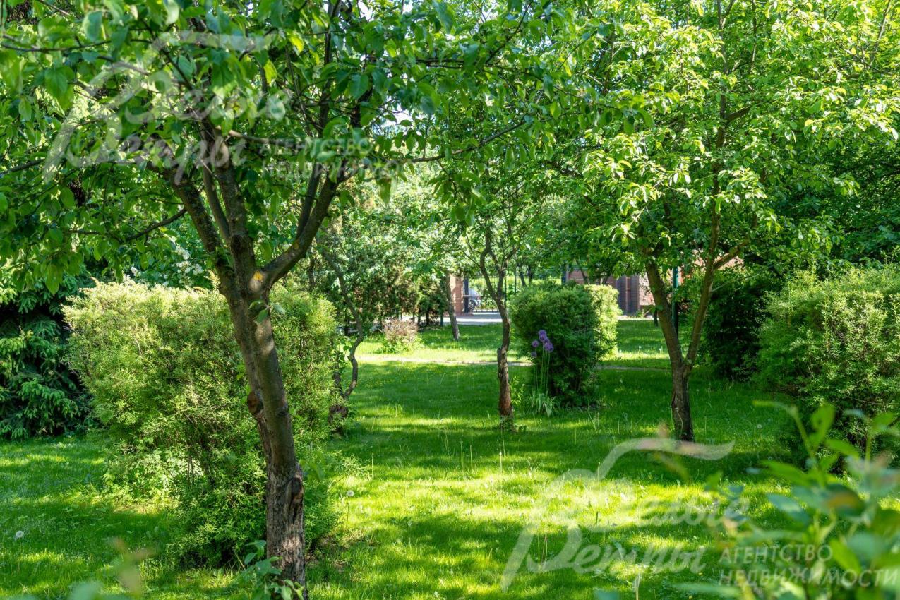 Участок 30 соток с взрослым плодовым садом и декоративными деревьями