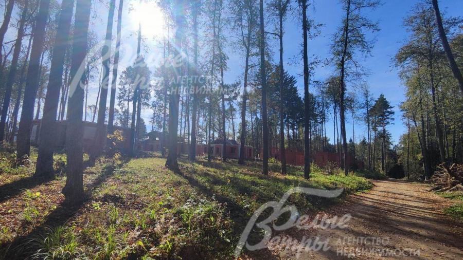 Поселок Бородино Вилладж находится в лесу