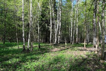 Участок, Валуевская слобода к/п (Валуево), 42 сот