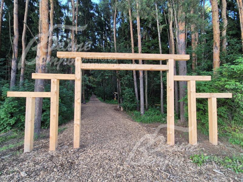 Тропа здоровья в лесу рядом с поселком