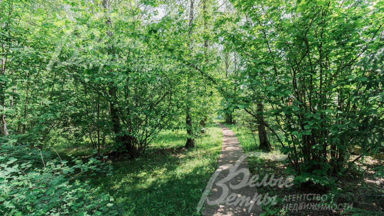 На участке - дорожки из натурального камня в окружении густой зелени деревьев