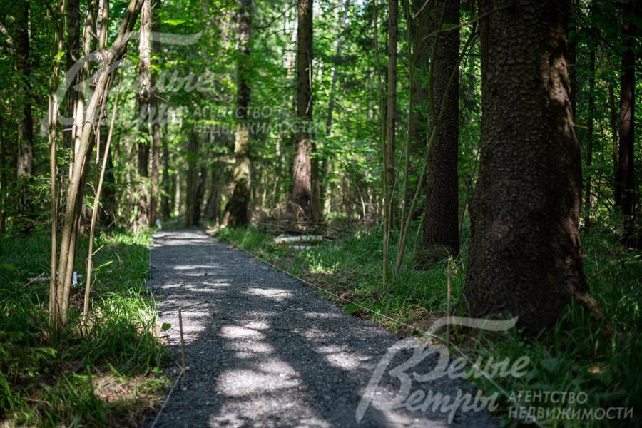 Выход в лес с благоустроенной территорией в поселке Резиденция Булатово