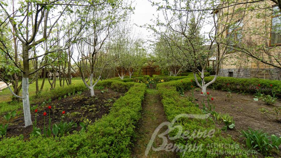 Плодовые деревья