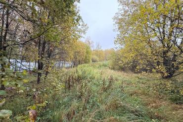 Участок, Подмосковные вечера к/п (Рогозинино), 18.4 сот