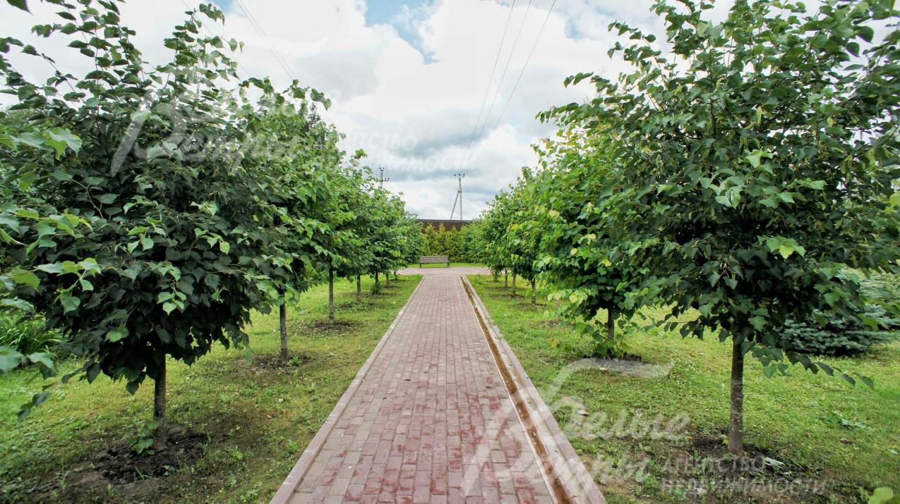 Прогулочные дорожки