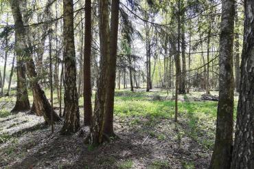 Участок, Валуевская слобода к/п (Валуево), 42 сот