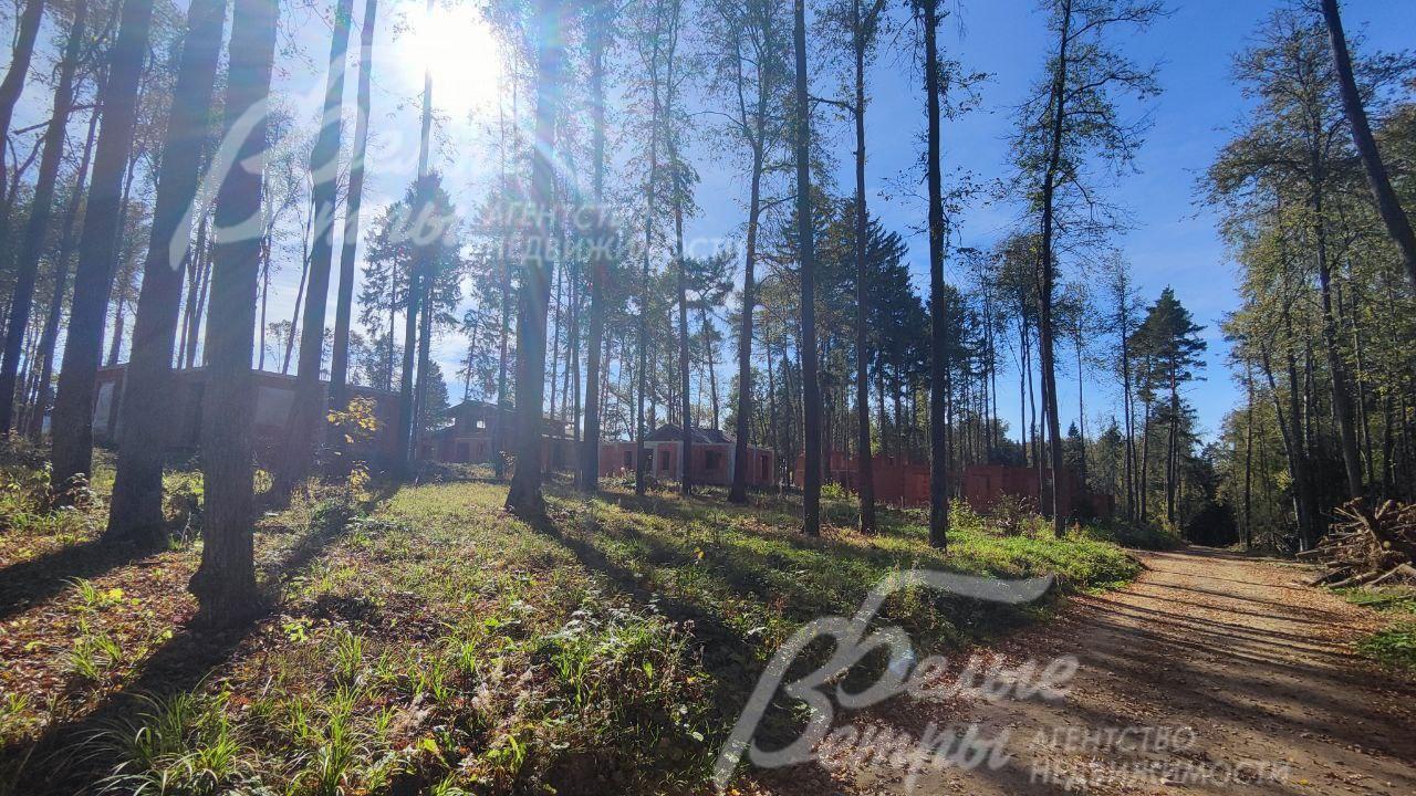 Поселок Бородино Вилладж находится в лесу