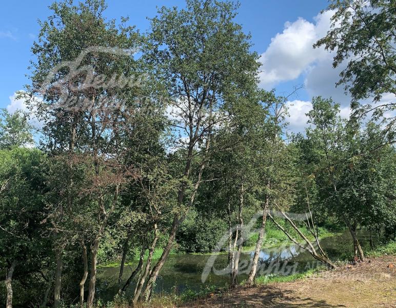 участок граничит с рекой