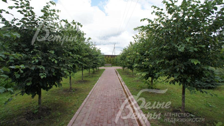 Прогулочные зоны в поселке Ильичевка