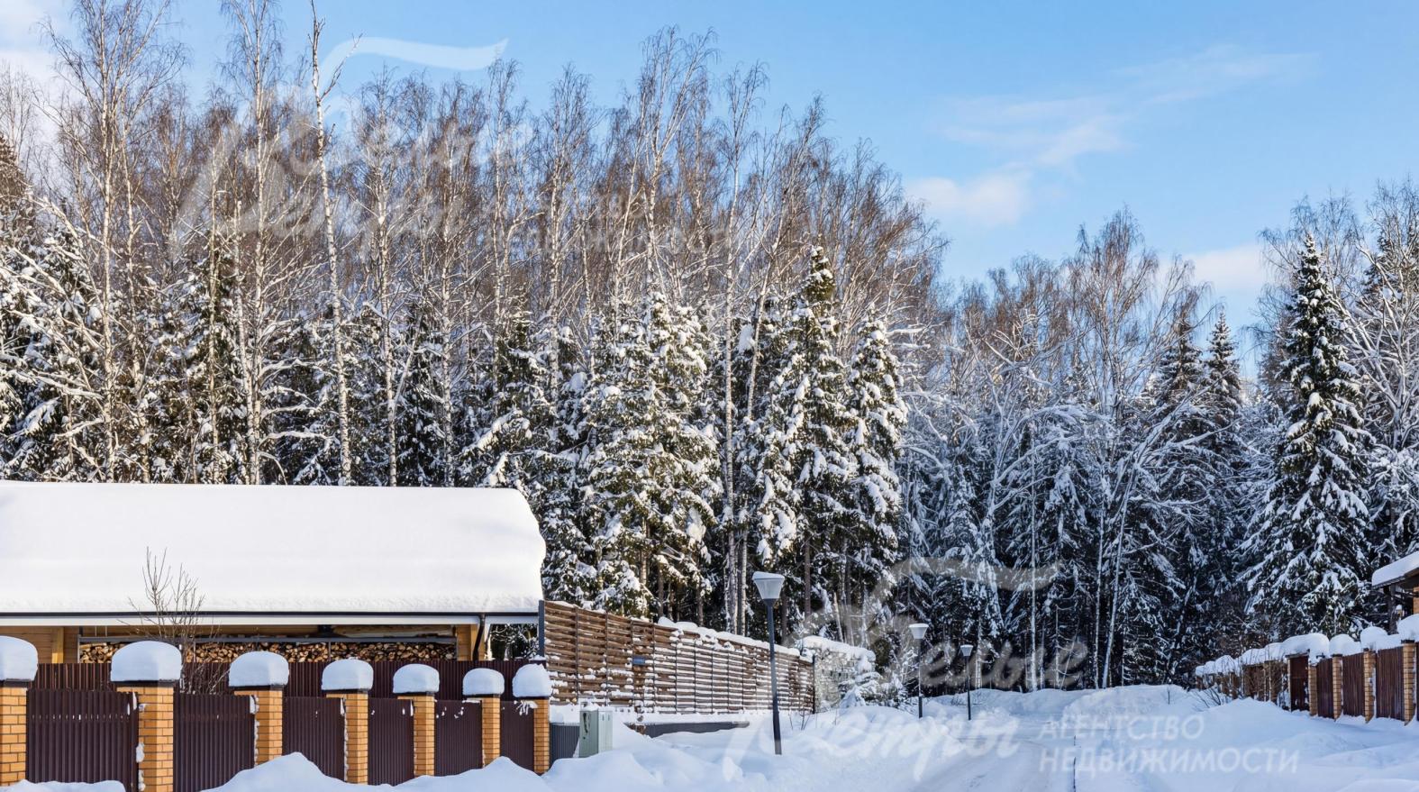 Поселок расположен у леса