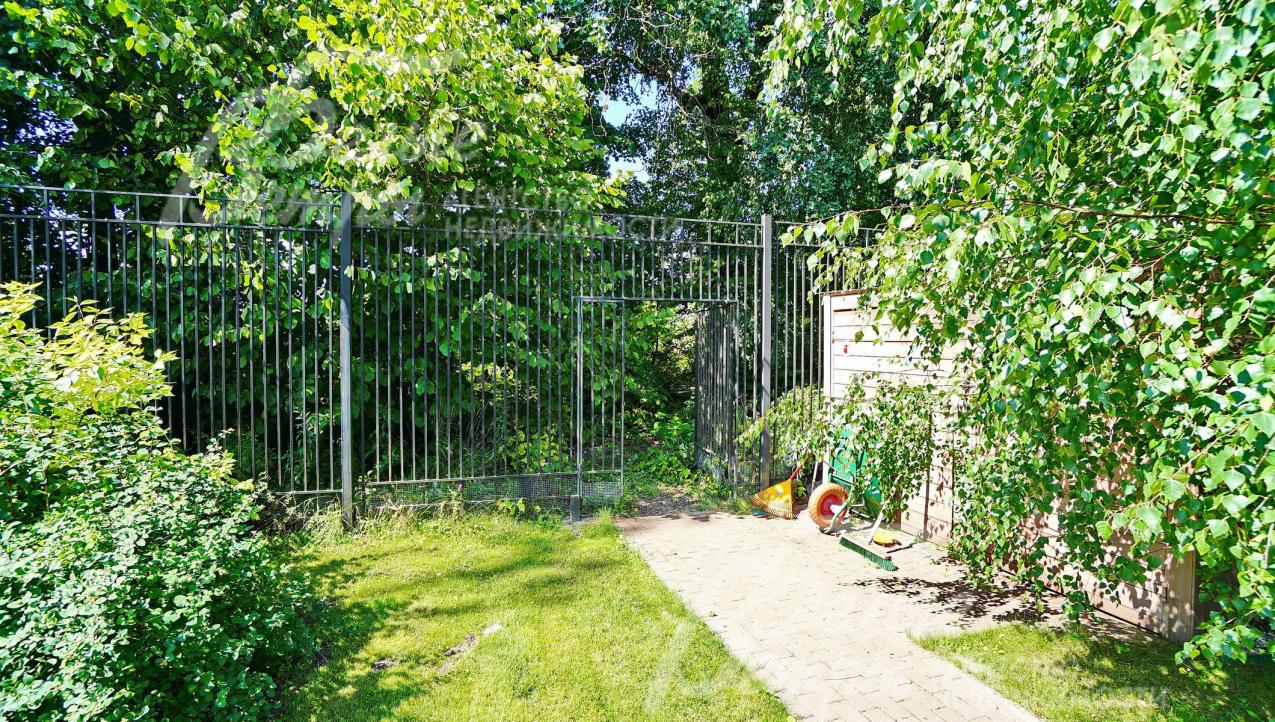 Свой выход в лес