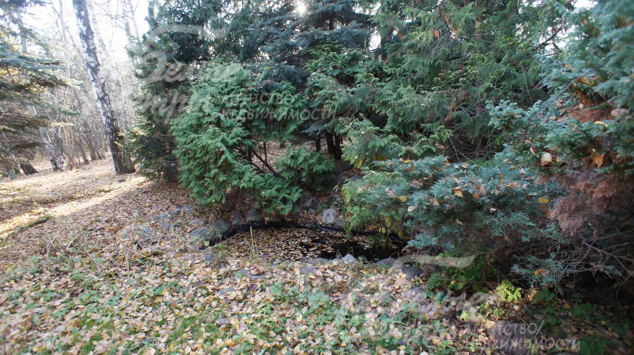 Небольшой искусственный водоем на участке