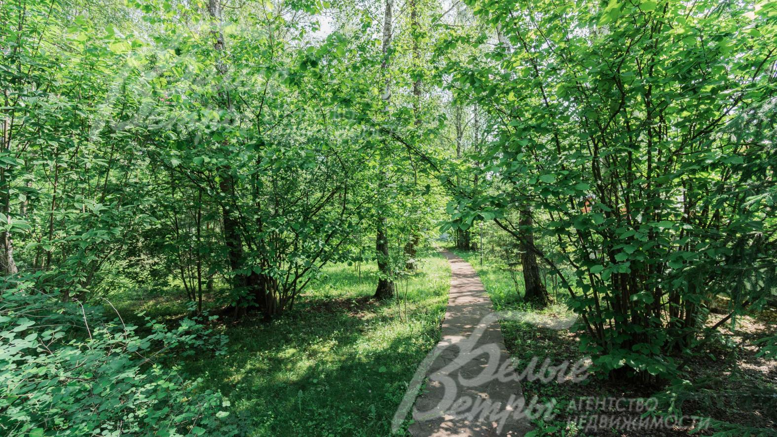 На участке - дорожки из натурального камня в окружении густой зелени деревьев