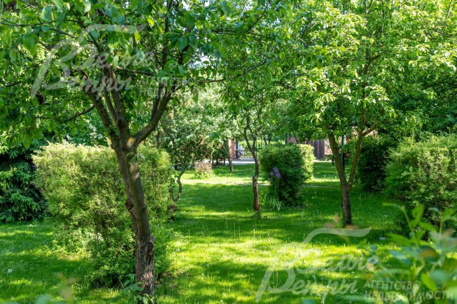 Участок 30 соток с взрослым плодовым садом и декоративными деревьями