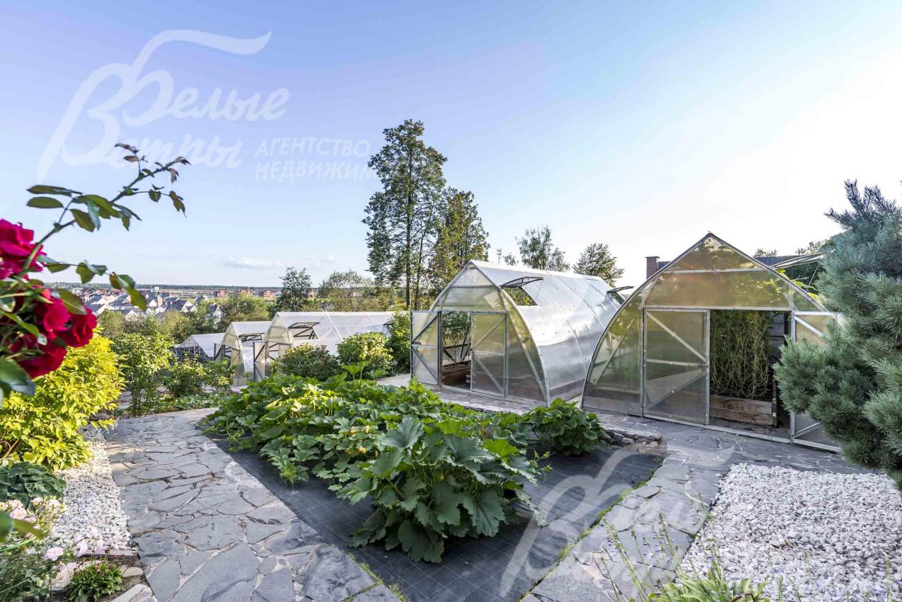 Теплицы 4 шт. на участке