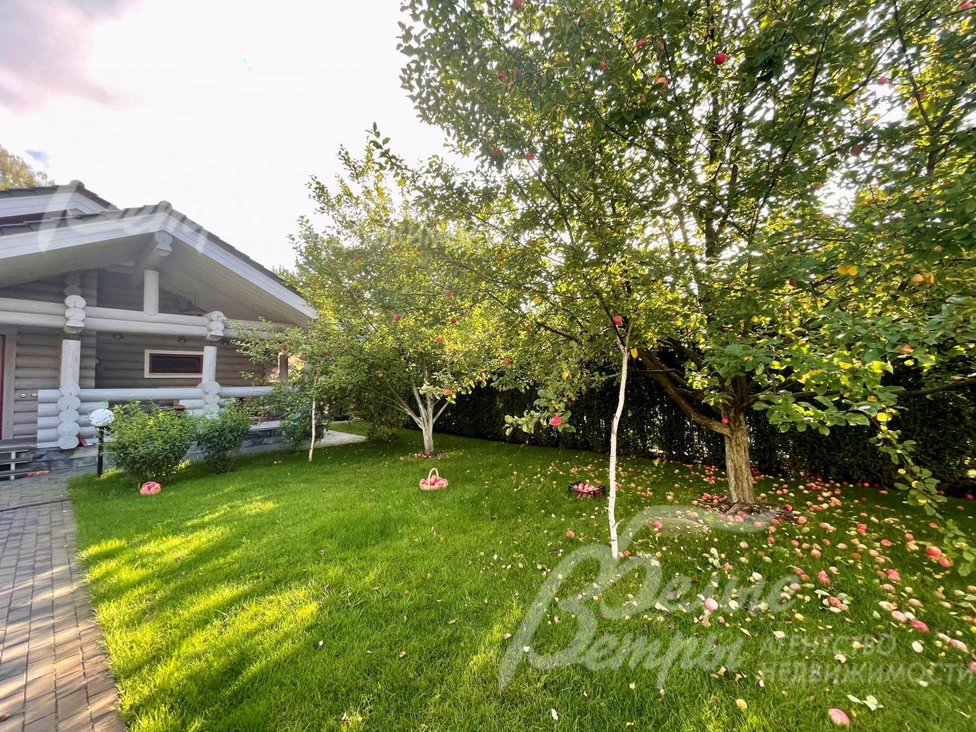 Сад с наивкуснейшими яблоками.