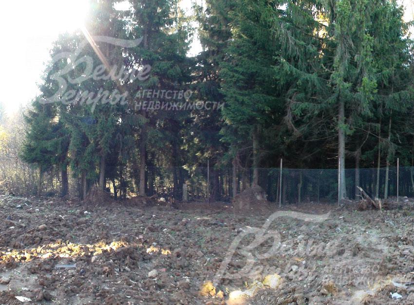 Участок граничит с лесом