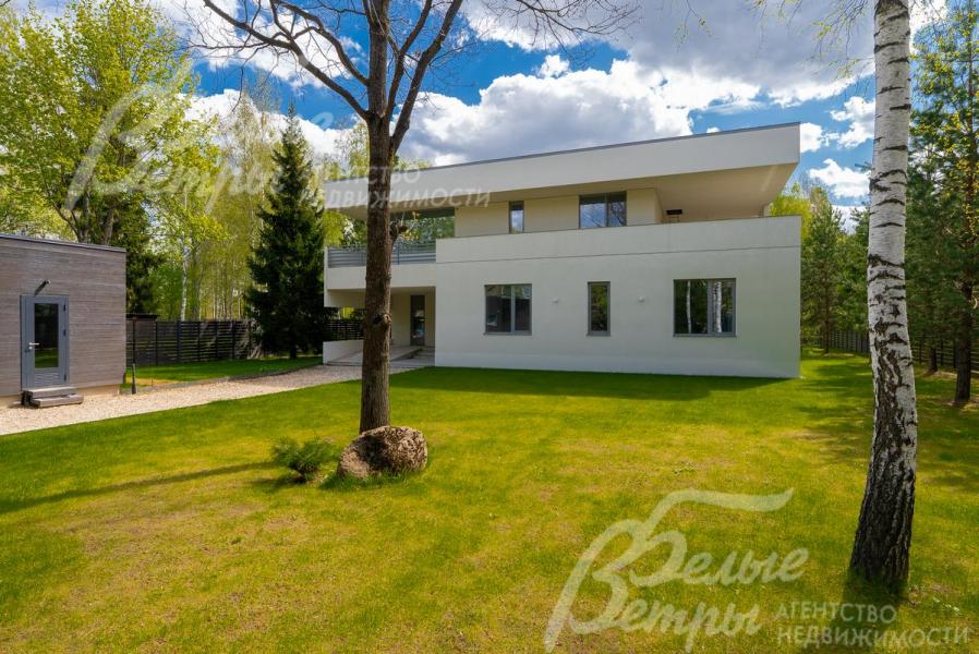 На участке множество взрослых лесных деревьев 