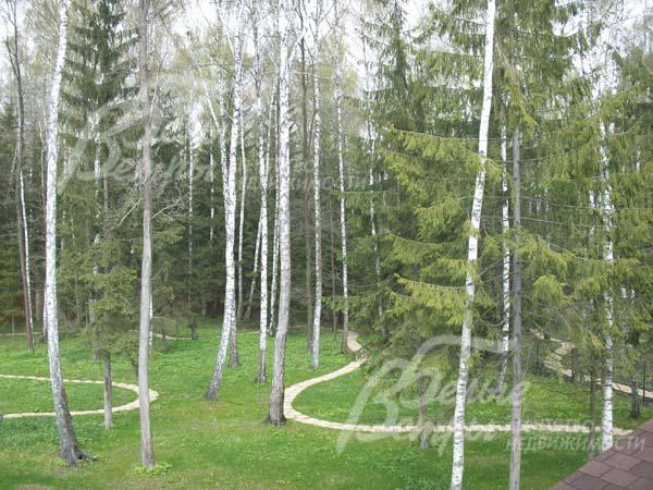 Участок 11.2 сотки примыкает к благоустроенному лесному массиву.