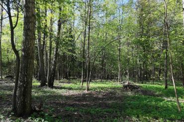 Участок, Валуевская слобода к/п (Валуево), 42 сот