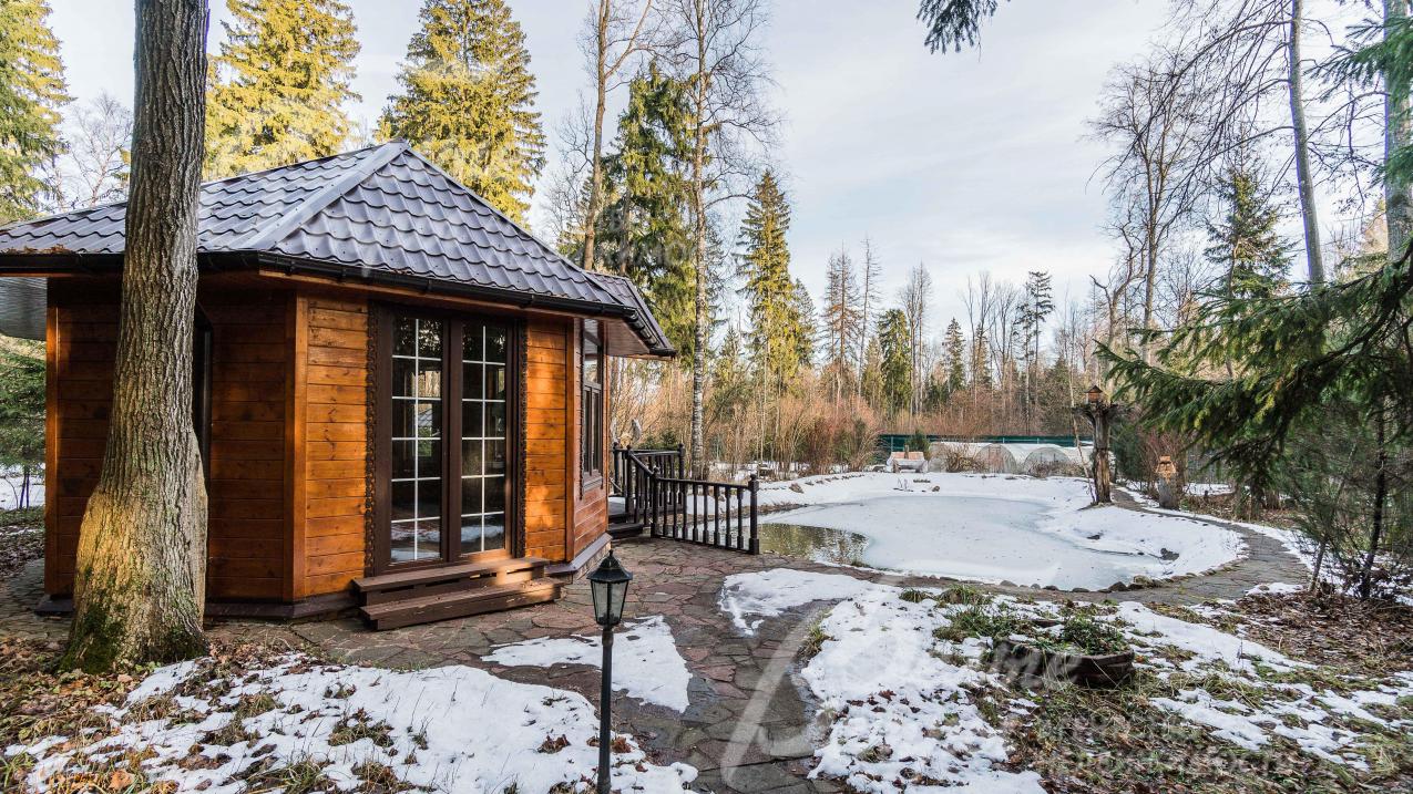 Пруд с карпами для рыбалки