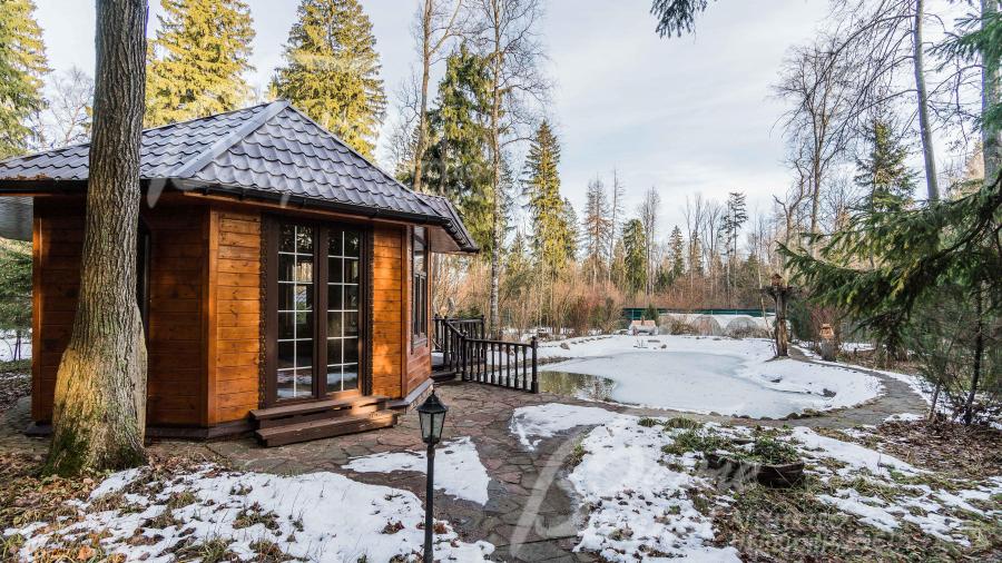 Пруд с карпами для рыбалки