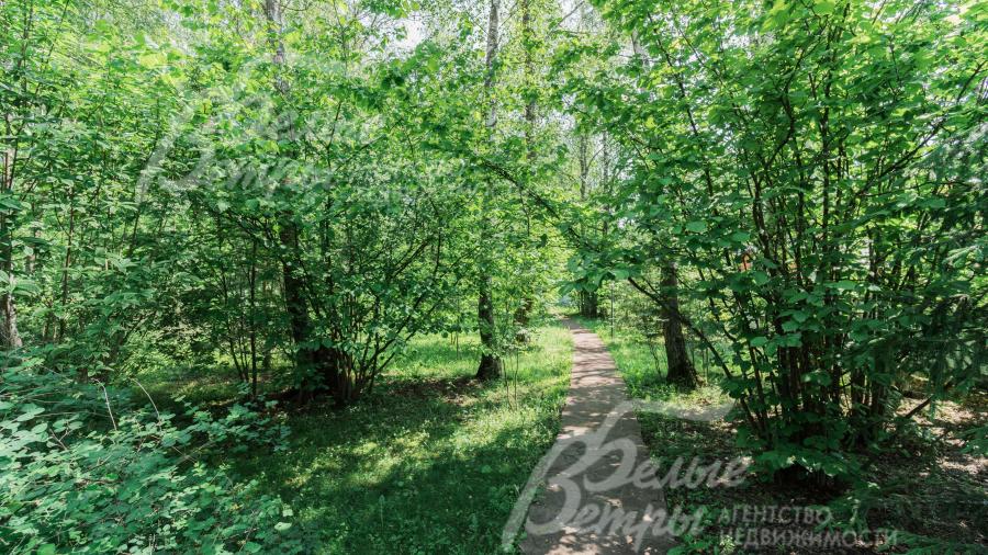 На участке - дорожки из натурального камня в окружении густой зелени деревьев