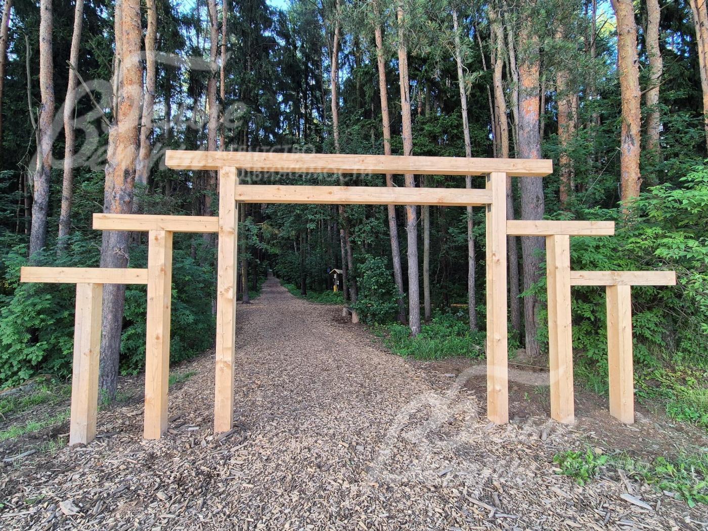 Тропа здоровья в лесу рядом с поселком