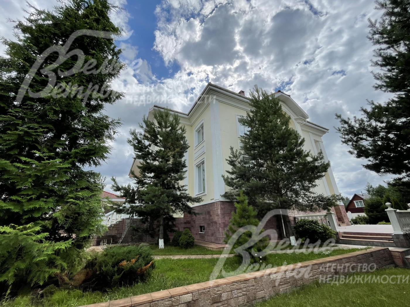 На участке вековые хвойные деревья