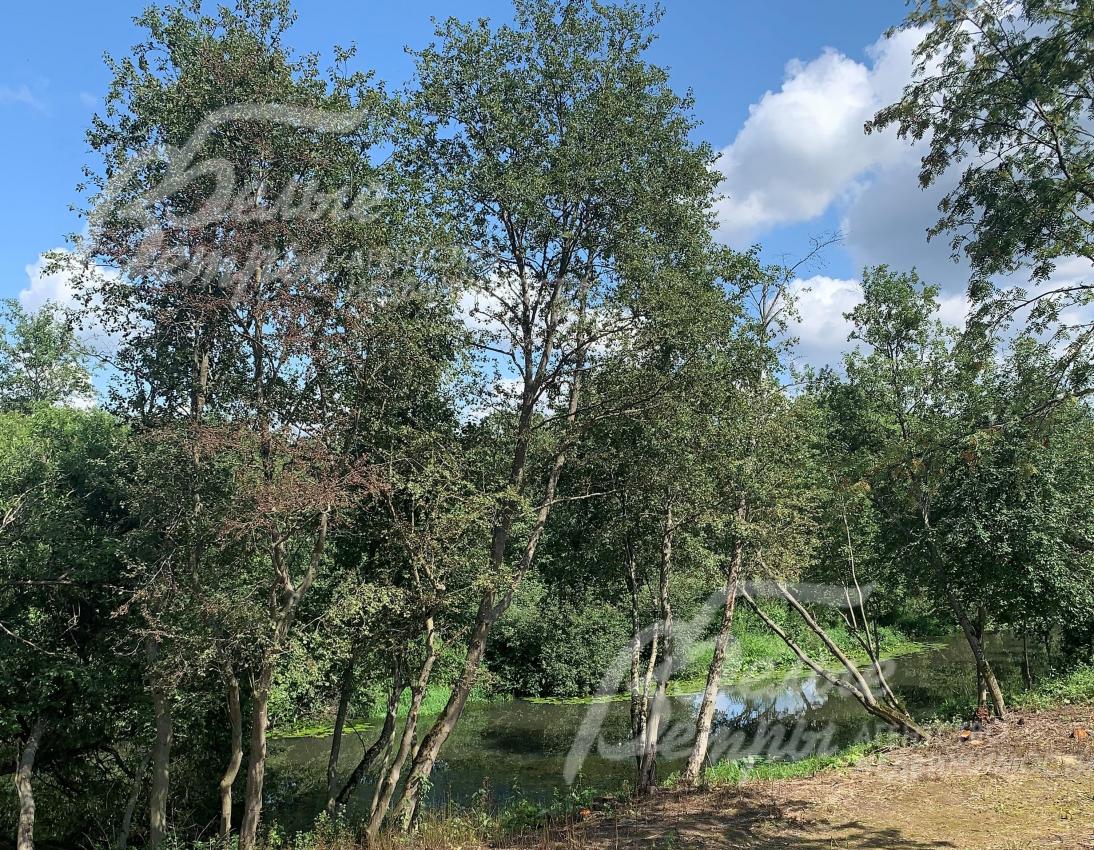 участок граничит с рекой