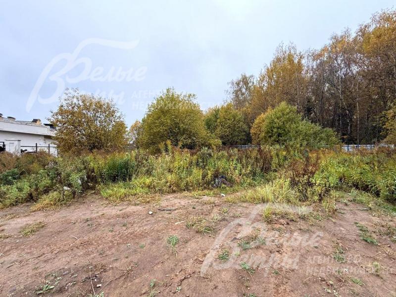 Расположение у лесного массива создает особую эстетику и гармонию с природой