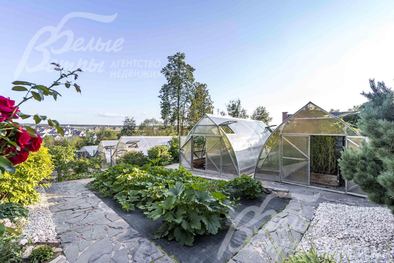 Теплицы 4 шт. на участке