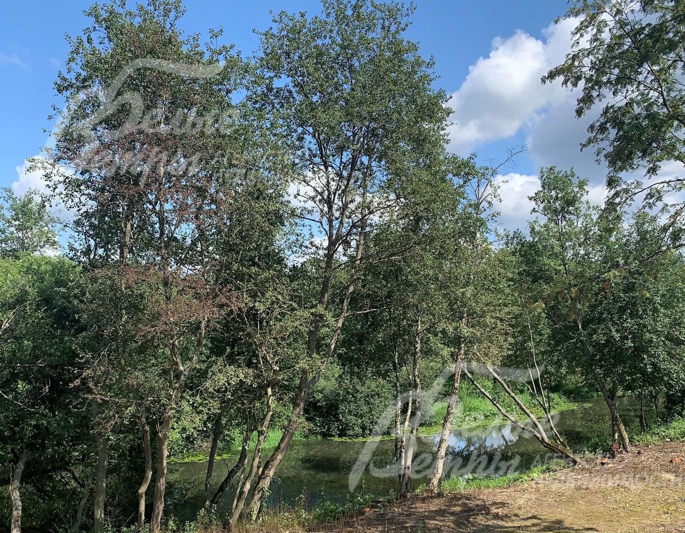 участок граничит с рекой