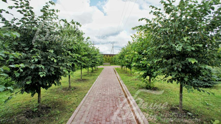 Прогулочные дорожки