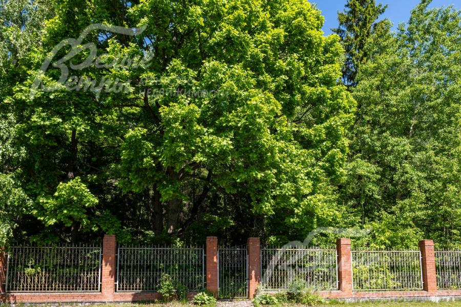 Есть свой выход в лес