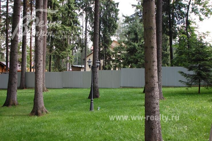 Около 50 взрослых деревьев на участке