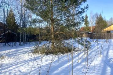 Участок, Новоглаголево к/п (Новоглаголево), 12&nbsp;сот