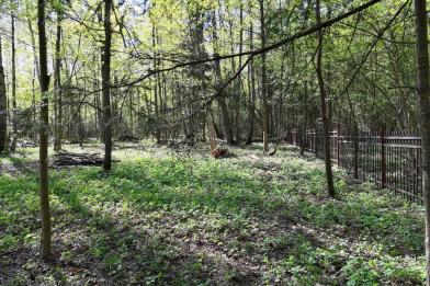 Участок, Валуевская слобода к/п (Валуево), 42 сот