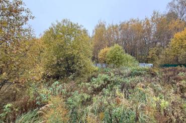 Участок, Подмосковные вечера к/п (Рогозинино), 18.4 сот