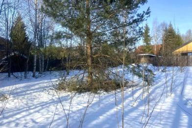 Участок, Новоглаголево к/п (Новоглаголево), 12&nbsp;сот