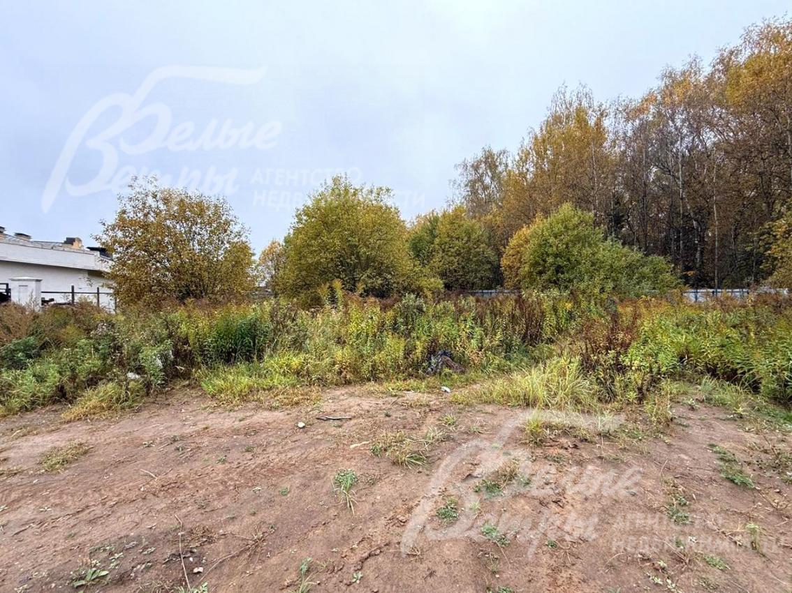 Расположение у лесного массива создает особую эстетику и гармонию с природой