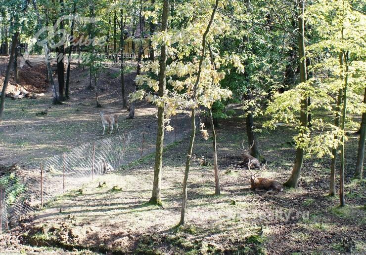 Зоопарк на территории в жилого комплекса Дубровка